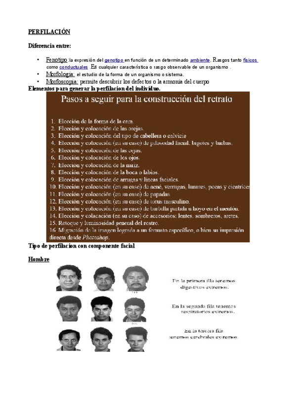 Miniatura del documento PERFILACION.pdf