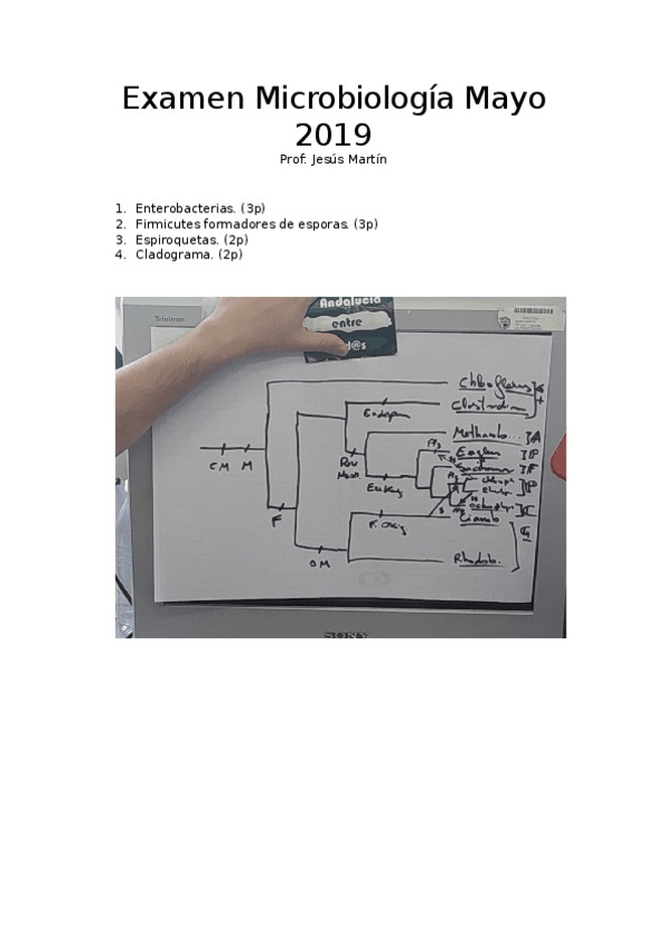 Miniatura del documento Examen-Microbiologia-Mayo-2019.docx