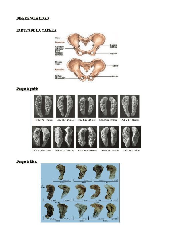Miniatura del documento CADERA Y MANO.pdf