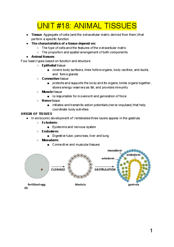 Miniatura del documento Resumen-HISTOLOGY-.pdf