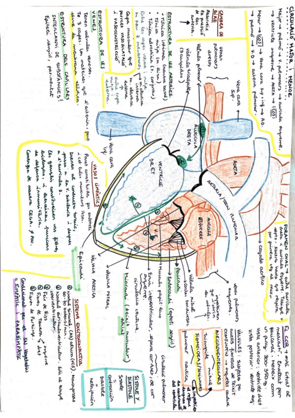 Miniatura del documento Documento-6619.pdf