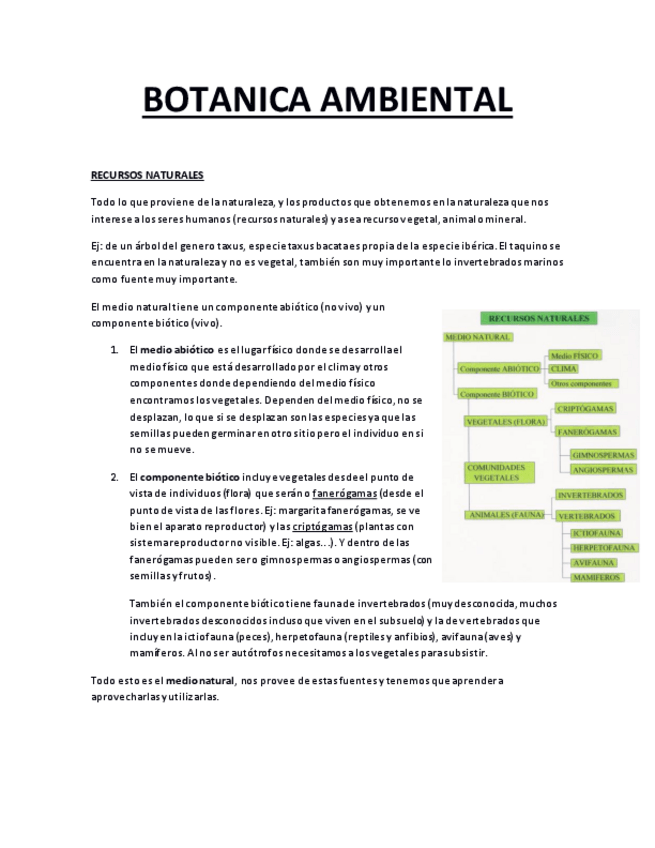 Miniatura del documento BOTANICA AMBIENTAL FINAL.pdf