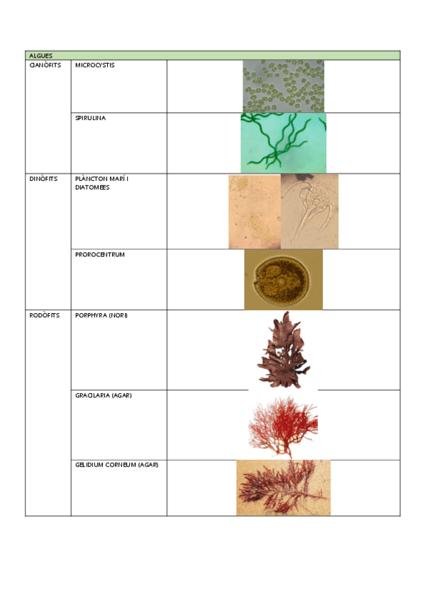 Miniatura del documento PRACTIQUES.pdf