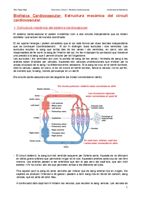 Miniatura del documento Biofisica-cardiovascularAlexFajas.pdf