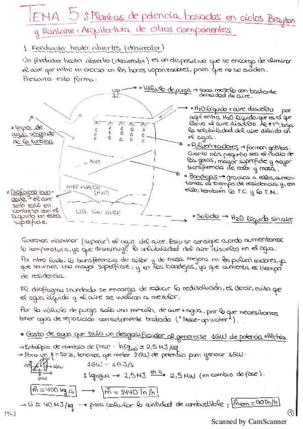 Miniatura del documento MACETAS.pdf