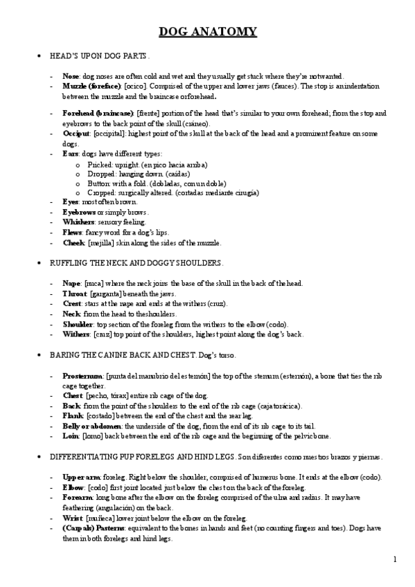 Miniatura del documento apuntes-de-ingles-19.pdf