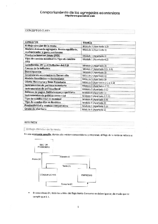 Miniatura del documento RESUM.pdf