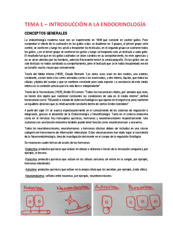 Miniatura del documento apuntes-endo.pdf