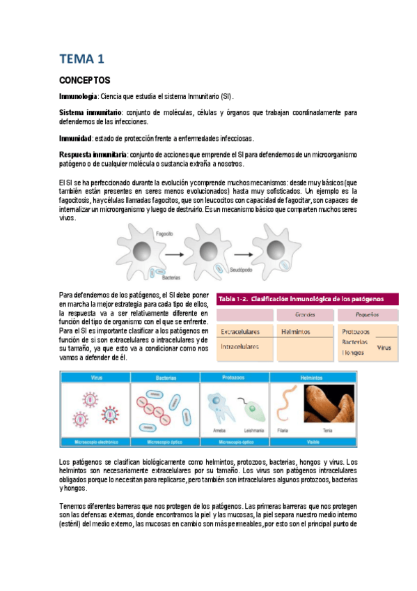 Miniatura del documento apuntes-inmunologia.pdf