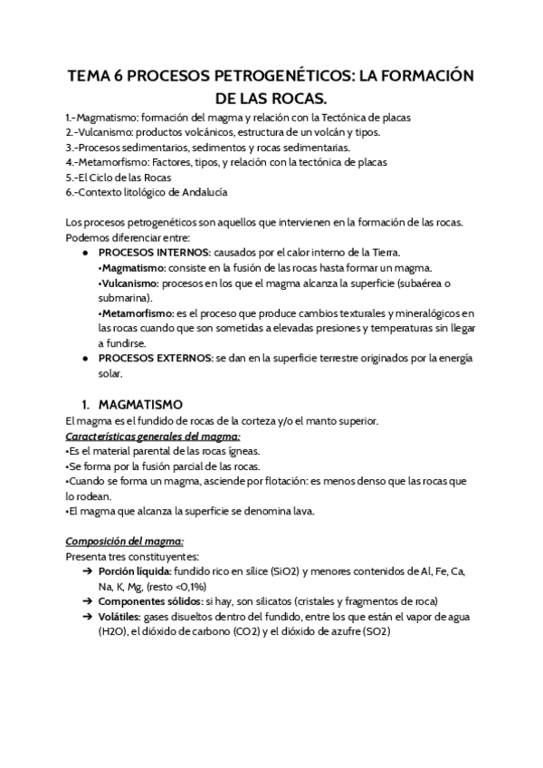 Miniatura del documento TEMA-6-Geo.pdf