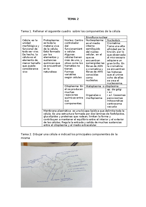 Miniatura del documento libro-practicas-Tema2.docx