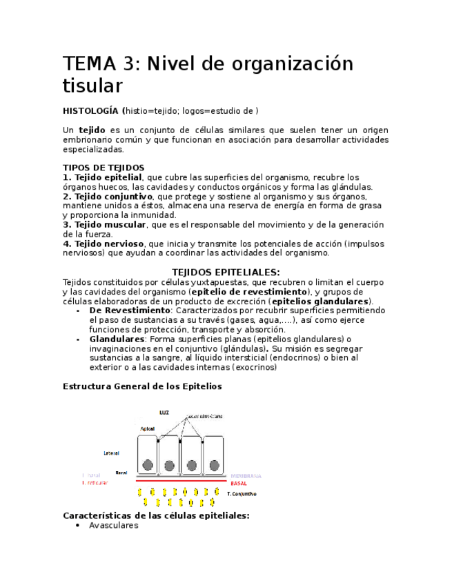 Miniatura del documento TEMA-3-IMPRIMIR.docx