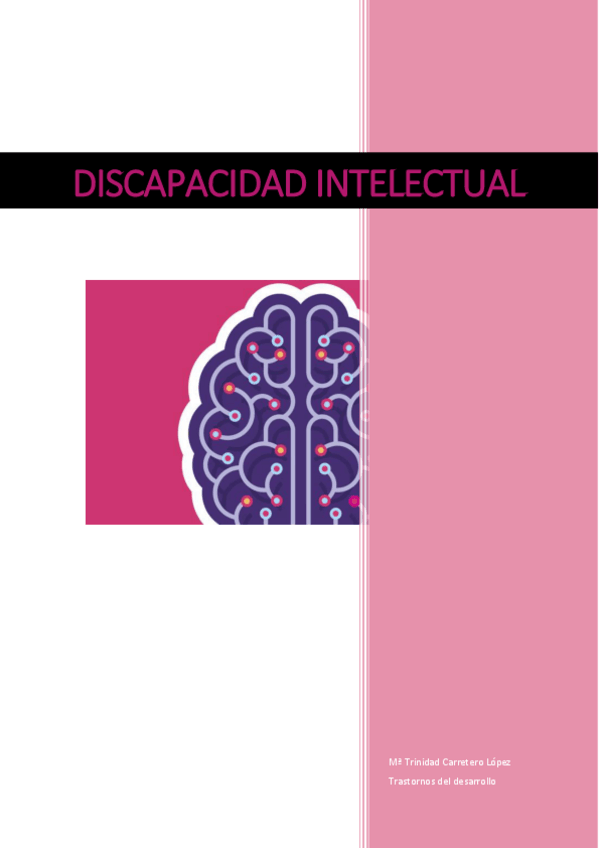 Miniatura del documento Practica-DI.pdf