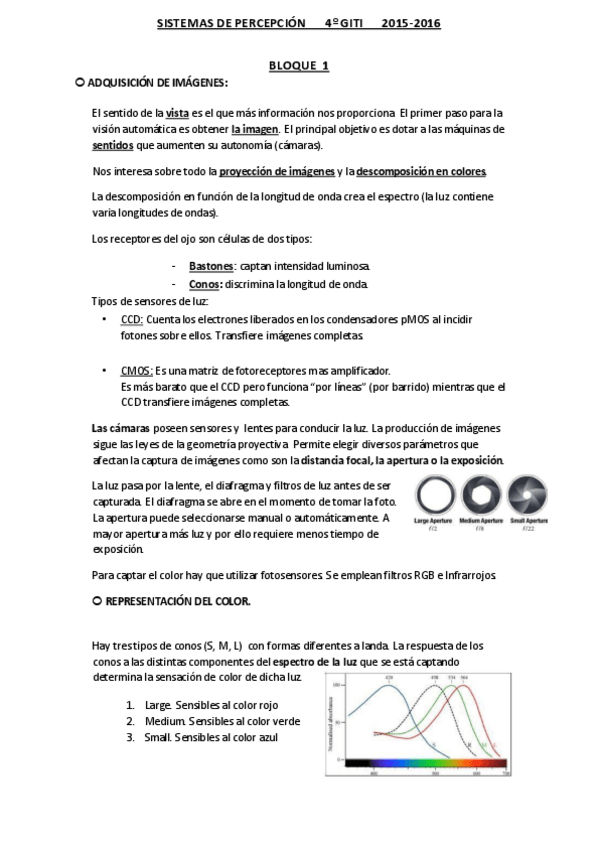 Miniatura del documento PERCEPCION-MI-RESUMEN.pdf