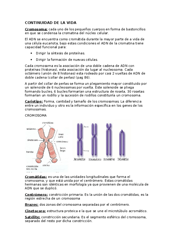 Miniatura del documento CROMOSOMAS.odt