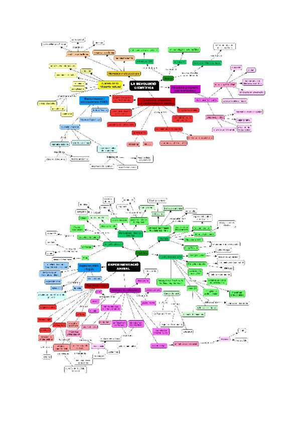 Miniatura del documento Mapa-conceptual.pdf