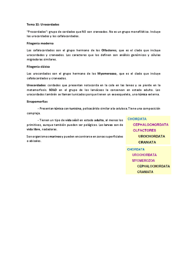 Miniatura del documento Ampliacion-de-zoologia-Tema-11.pdf