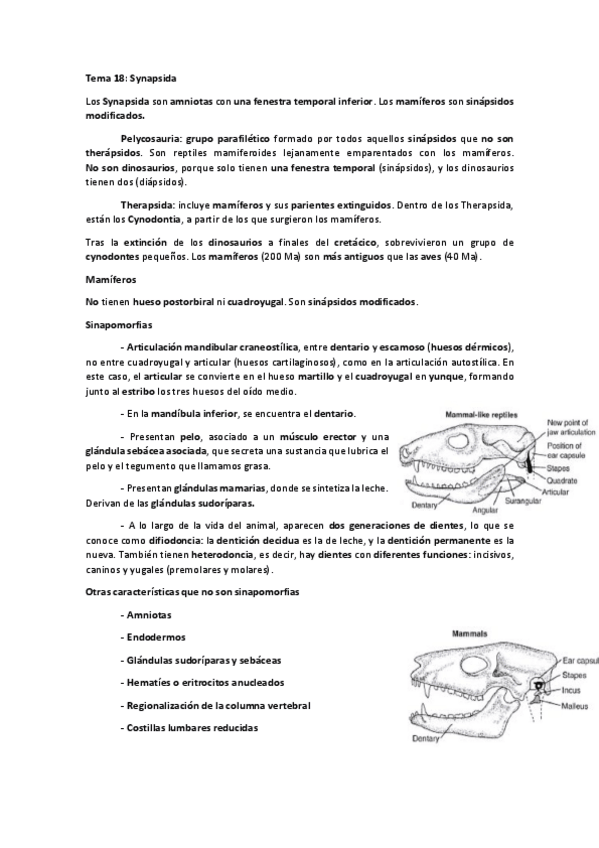 Miniatura del documento Ampliacion-de-zoologia-Tema-18.pdf