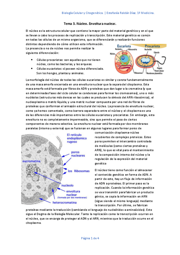 Miniatura del documento Tema-3.pdf