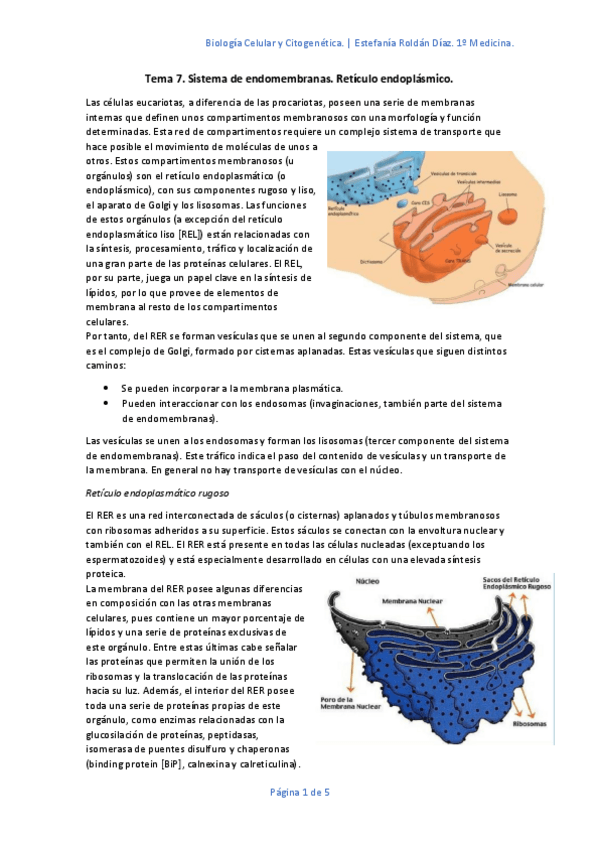 Miniatura del documento Tema-7.pdf