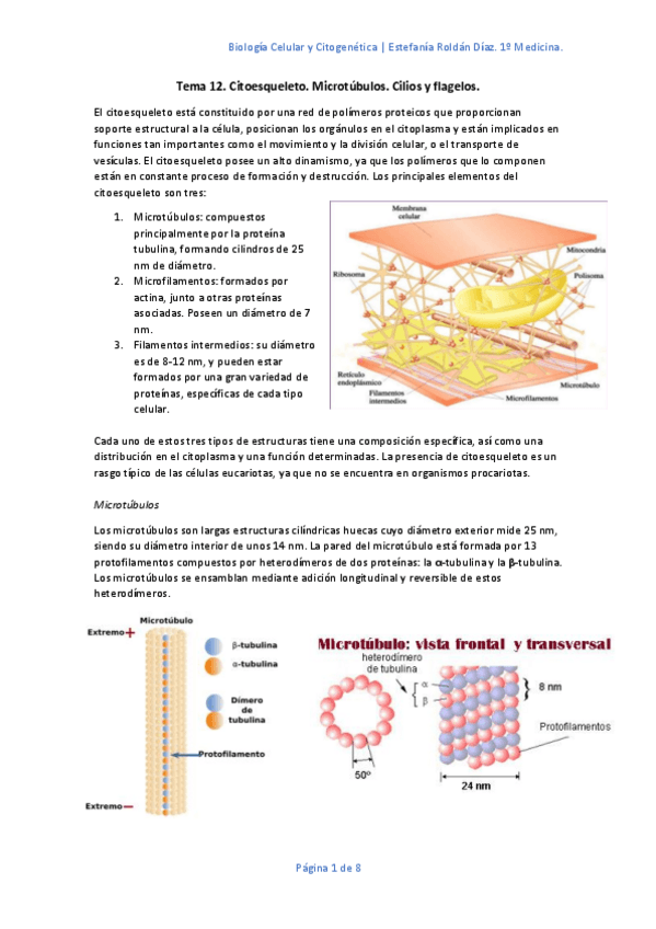 Miniatura del documento Tema-12.pdf