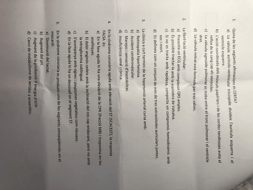 Miniatura del documento F1.jpeg