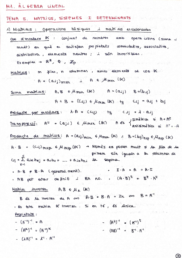 Miniatura del documento M1-ALGEBRA-LINEAL-RESUM.pdf