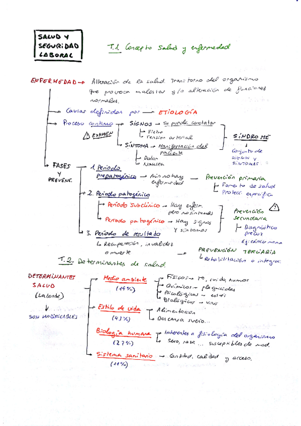 Miniatura del documento Resumen-Seguridad-y-Salud-Laboral.pdf