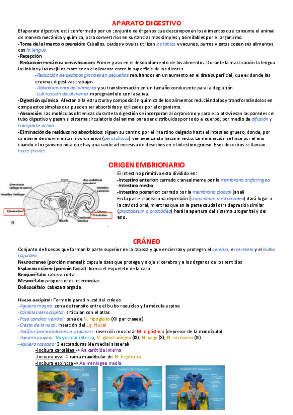 Miniatura del documento -DIGESTIVO.pdf