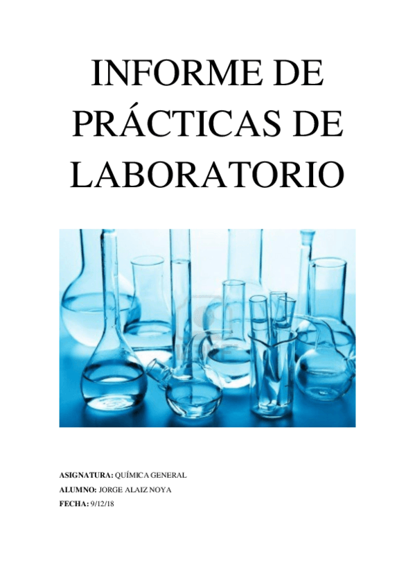 Miniatura del documento INFORME DE PRÁCTICAS (NOTA 8,6)