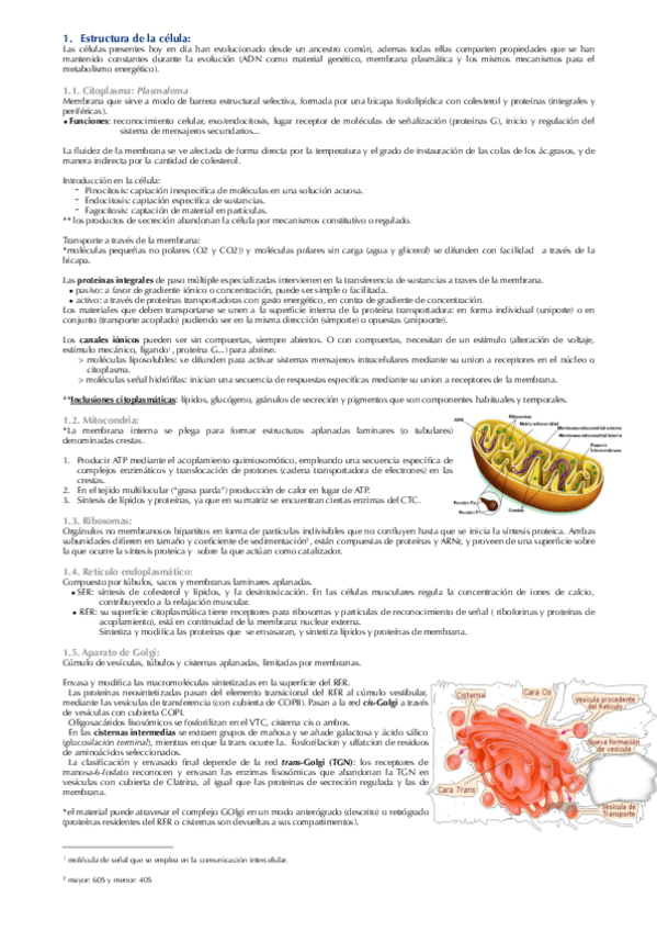 Miniatura del documento Biologia-2.pdf