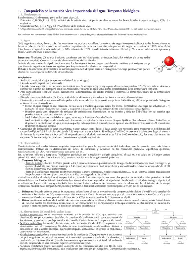 Miniatura del documento Bioquimica-.pdf