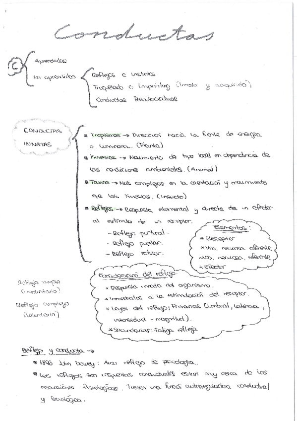Miniatura del documento Conductas.pdf