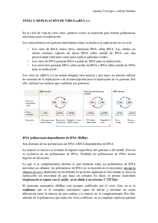 Miniatura del documento TEMA-5-virologia.pdf