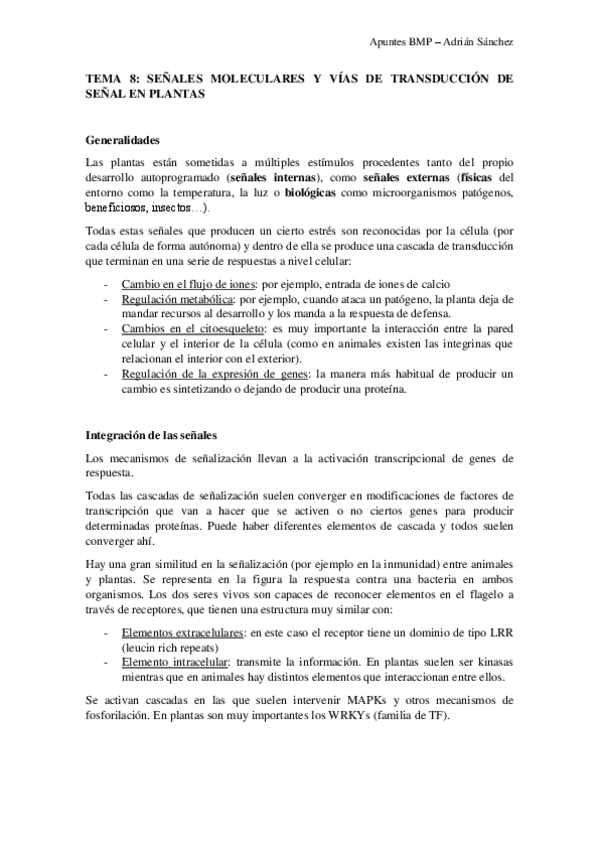 Miniatura del documento TEMA-8-BMP.pdf