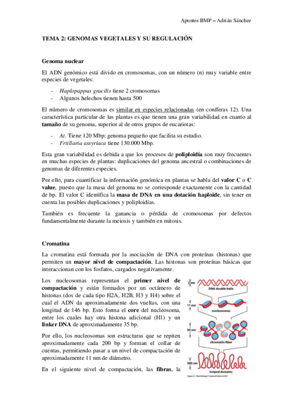 Miniatura del documento TEMA-2-BMP.pdf