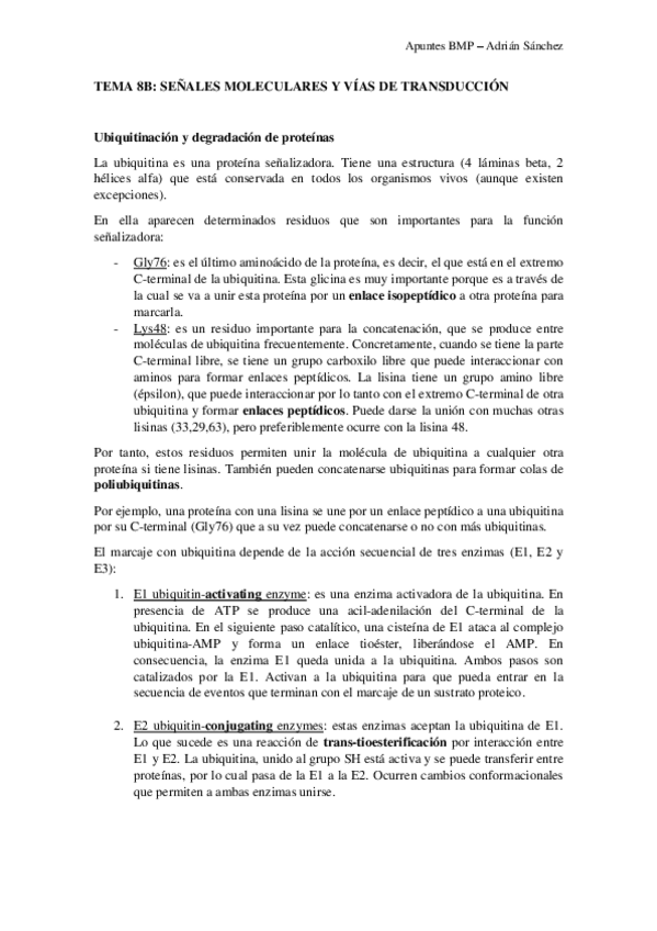 Miniatura del documento TEMA-8b-BMP.pdf
