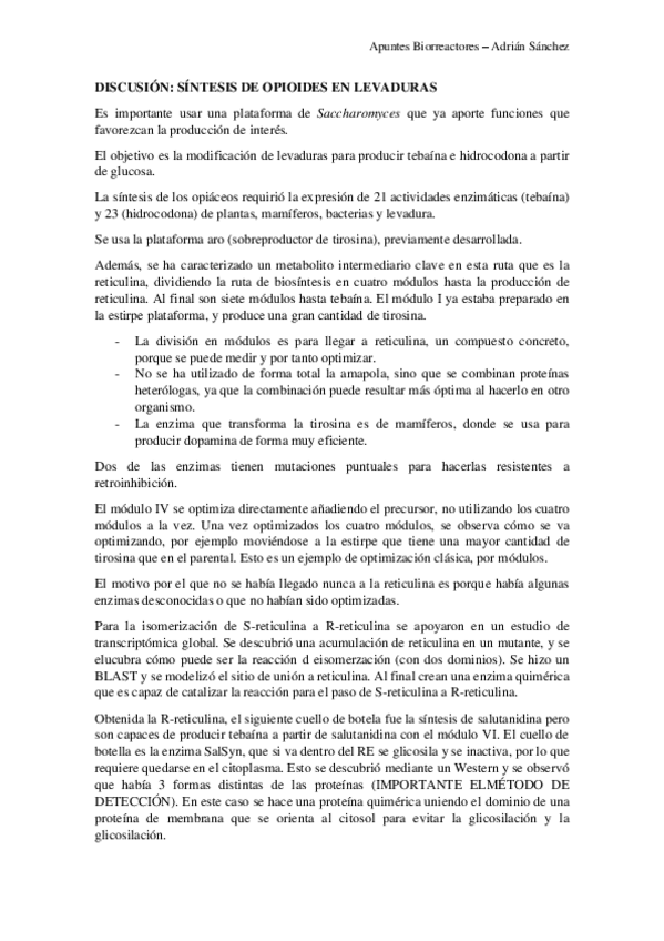 Miniatura del documento Discusion-paper-opiaceos.pdf