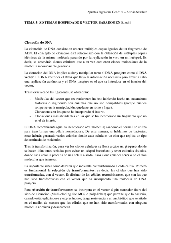 Miniatura del documento TEMA-5-IG.pdf