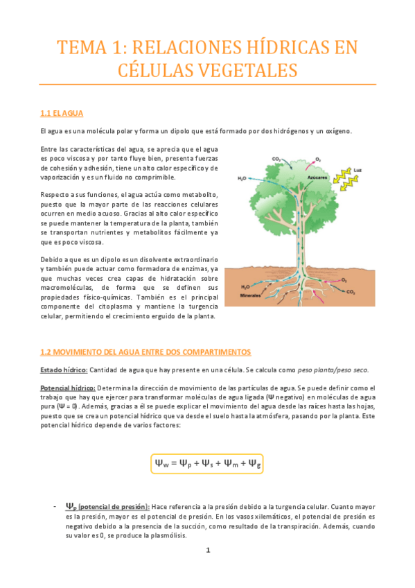 Miniatura del documento TEMA-1.pdf