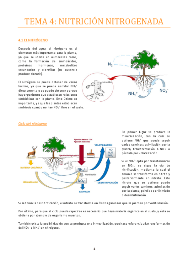 Miniatura del documento TEMA-4.pdf