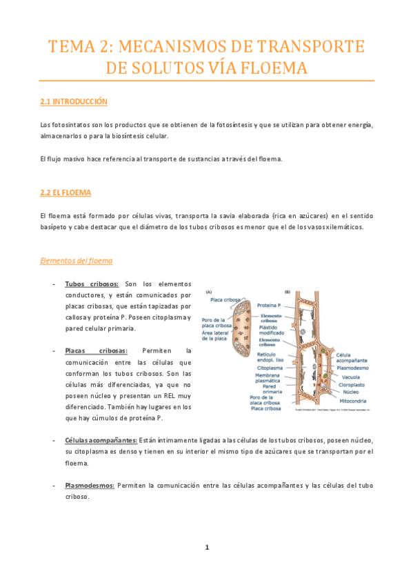 Miniatura del documento TEMA-2.pdf