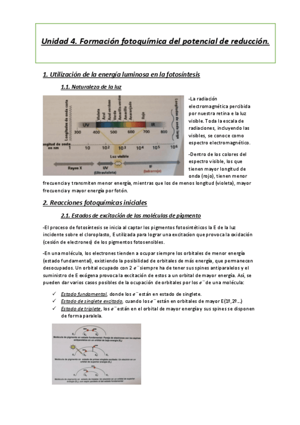 Miniatura del documento Tema-4.pdf