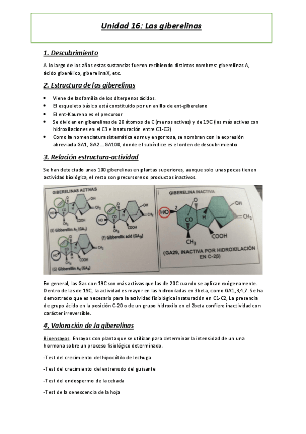 Miniatura del documento Tema-16.pdf