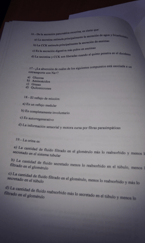 Miniatura del documento IMAG0583.jpg