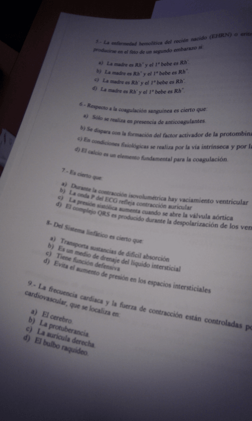 Miniatura del documento IMAG0581.jpg