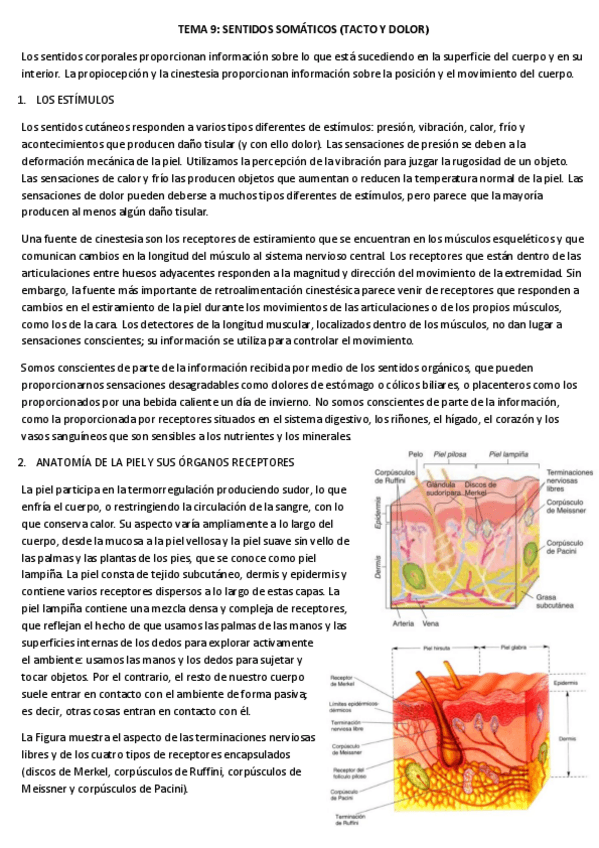 Miniatura del documento tema-9-resumen.pdf