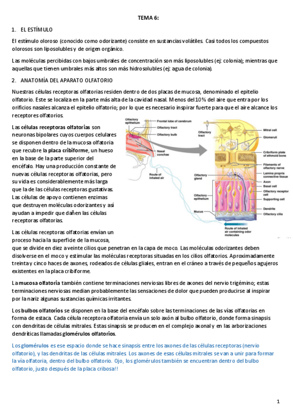 Miniatura del documento TEMA-6.pdf