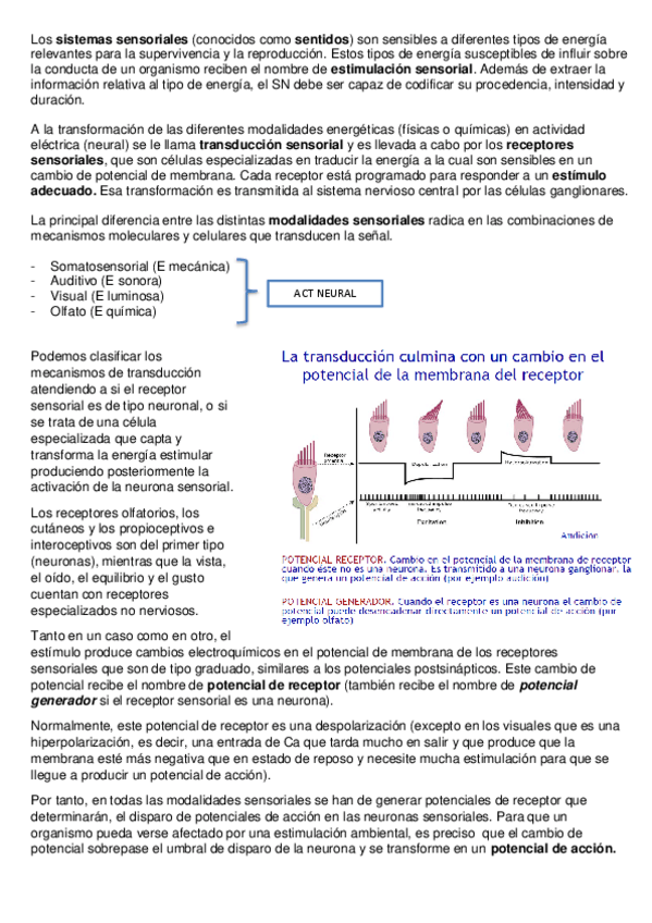 Miniatura del documento TEMA-6-Y-7.pdf