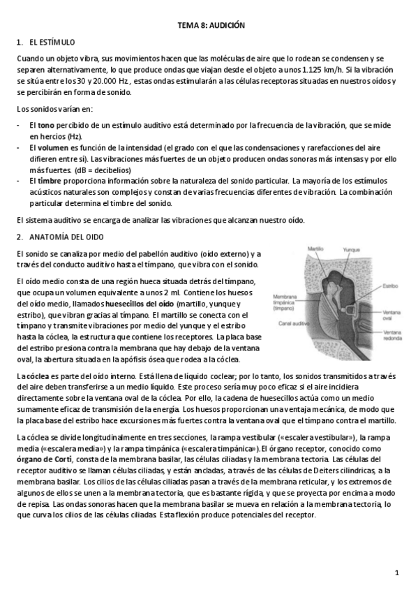 Miniatura del documento TEMA-8.pdf